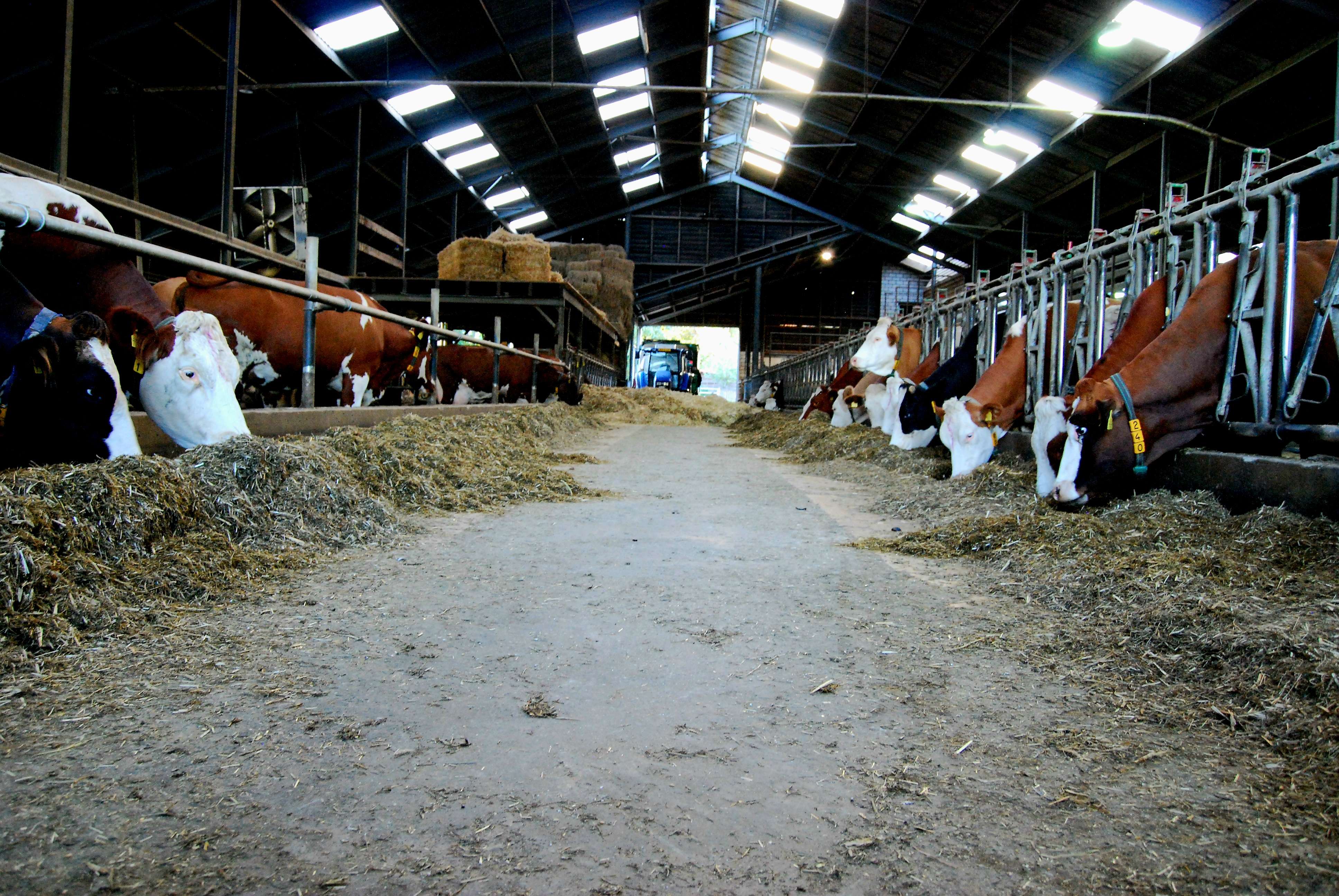 Boerderij De Hooiberg