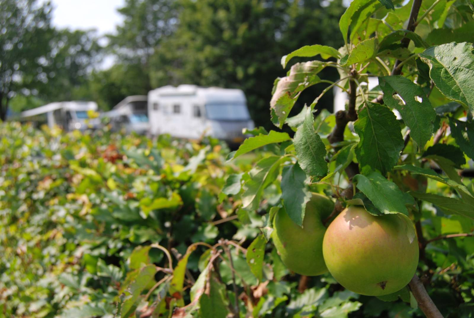 Locatie De Hooiberg in Bladel